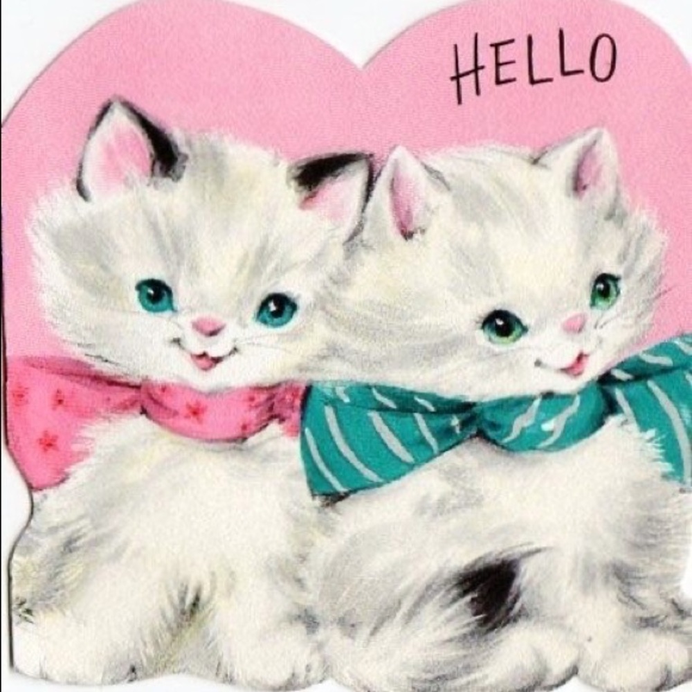 Meet your Posher, Jo